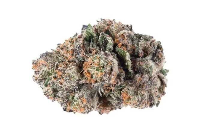 Gushers THCA Flower