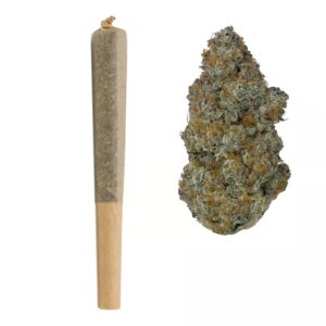 Buy GMO cookies 2pk Pre Roll