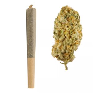Buy Jack Herer 2pk pre roll