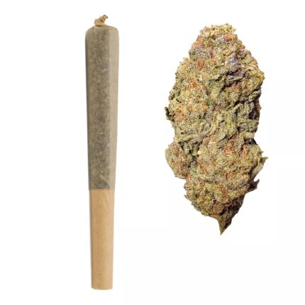 Buy Rainbow Runtz 2pk Pre roll