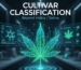 modern cannabis classification using chemotypes
